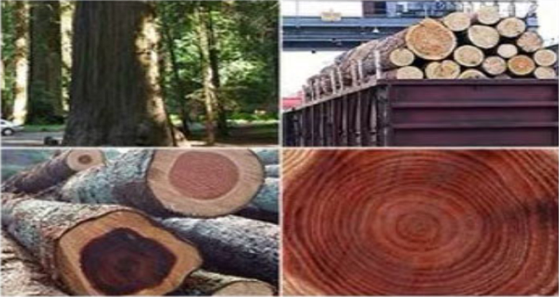 新沃家居原材料采購源頭